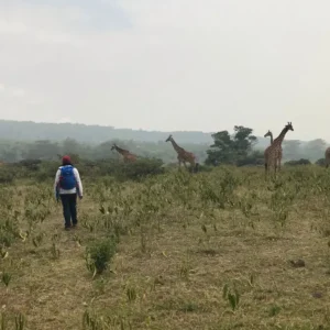 Arusha National Park Safari