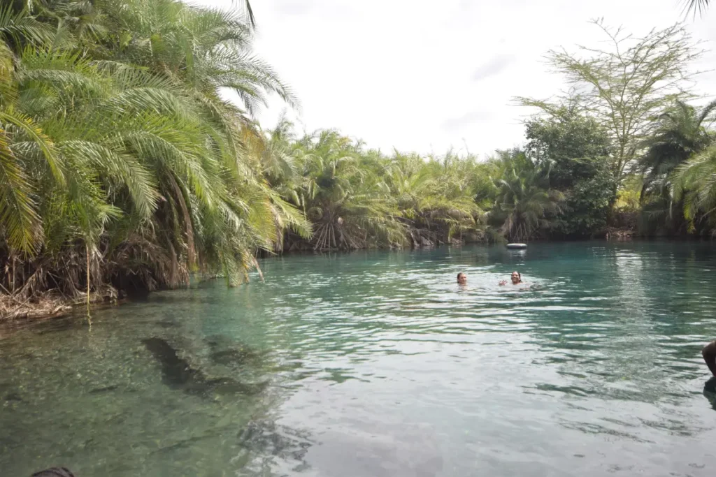 Materuni Hot Springs Day Trip from The Green Side