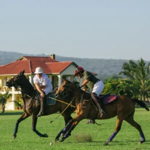 Polo Lessons at The Green Side Tanzania